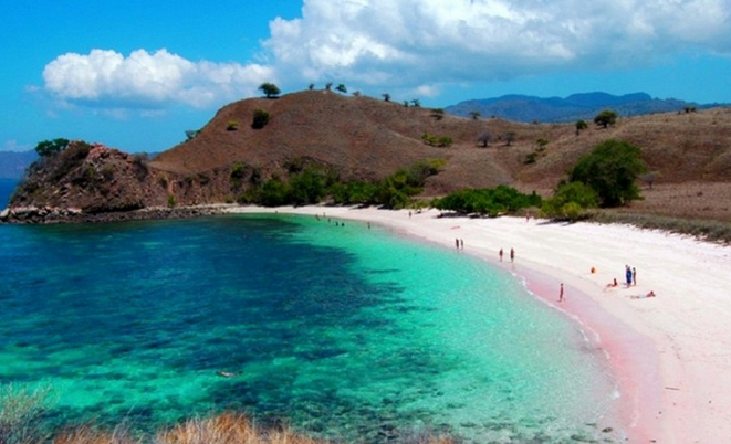 Pantai Pink Pulau Komodo, Surga Nusantara