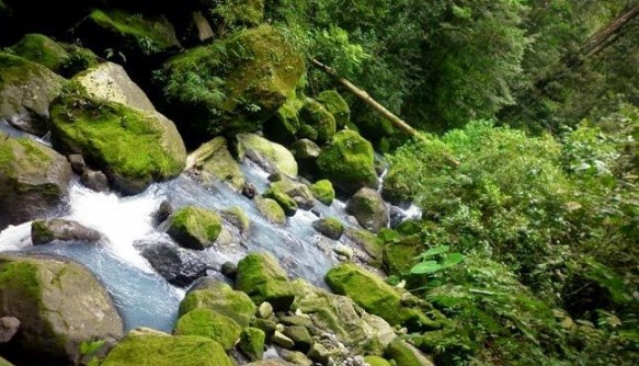 Cagar Alam Sibolangit